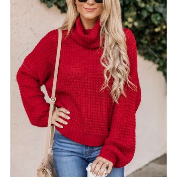 Pink Lily Sweaters - Turtleneck Sweater